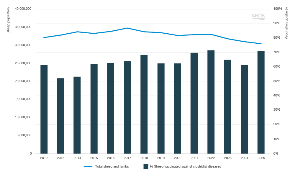 Bar and line chart showing clostridial vaccination between 2012–2025.